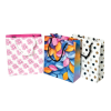 Gift Carry Bag