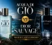 Acqua di Giò vs Dior Sauvage (1)